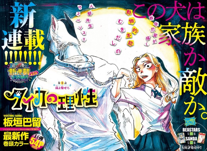 Paru Itagaki’s new manga Taika no Risei begins.